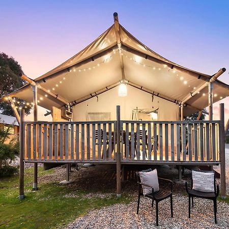 Scamander Sanctuary Holiday Park Ngoại thất bức ảnh